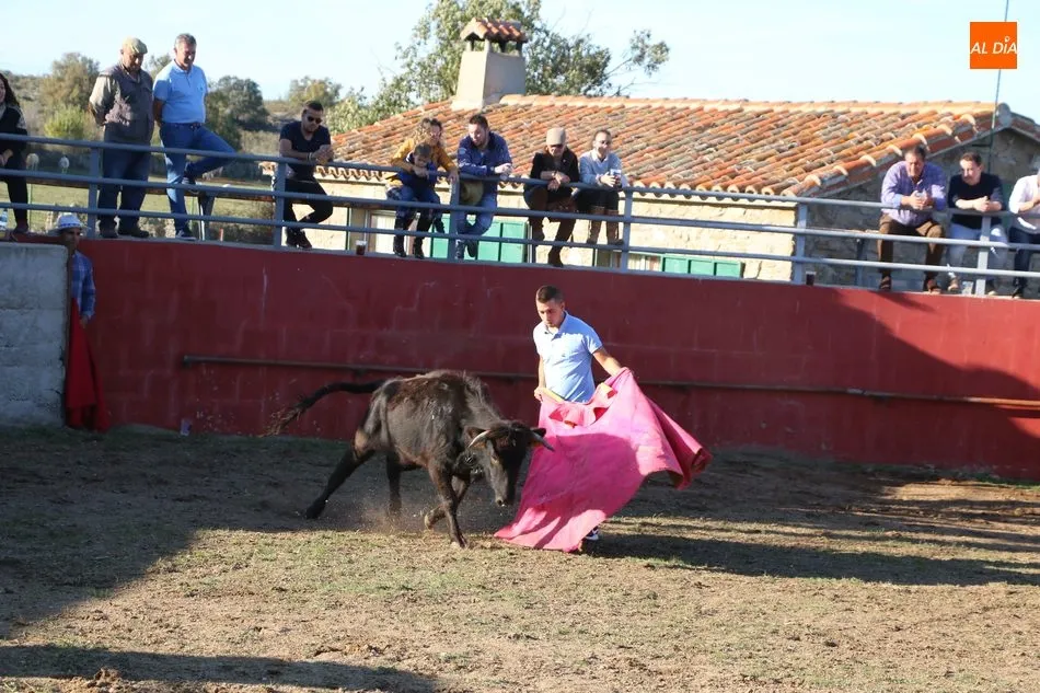 Foto 4 - La Asociaci&oacute;n Cultural Taurina de Vitigudino celebra su fiesta anual  