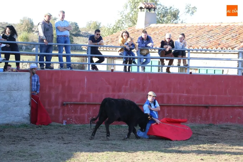 Foto 3 - La Asociaci&oacute;n Cultural Taurina de Vitigudino celebra su fiesta anual  