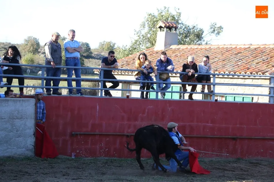 Foto 2 - La Asociaci&oacute;n Cultural Taurina de Vitigudino celebra su fiesta anual  