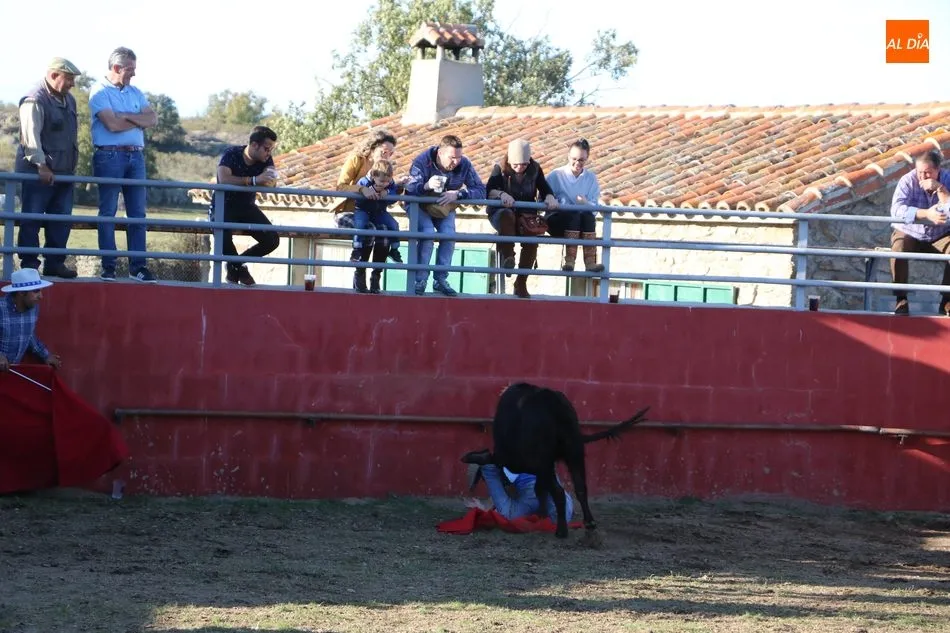 La Asociación Cultural Taurina de Vitigudino celebra su fiesta anual  