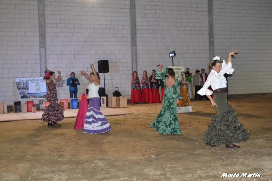 Foto 10 - Actividades para todos los p&uacute;blicos durante el s&aacute;bado festivo en Arabayona