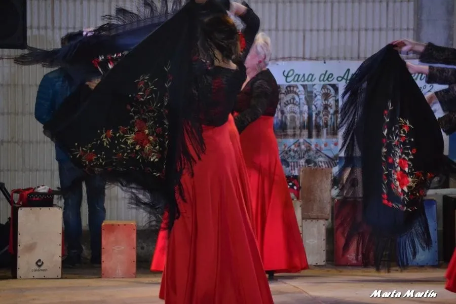 Foto 2 - Actividades para todos los p&uacute;blicos durante el s&aacute;bado festivo en Arabayona