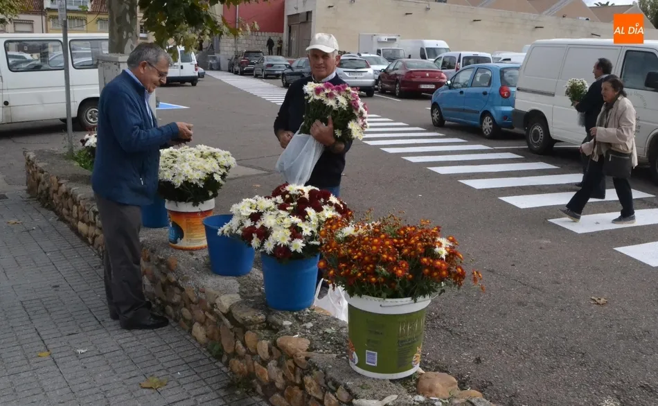 Foto 5 - El D&iacute;a de Todos los Santos saca las flores a las calles  