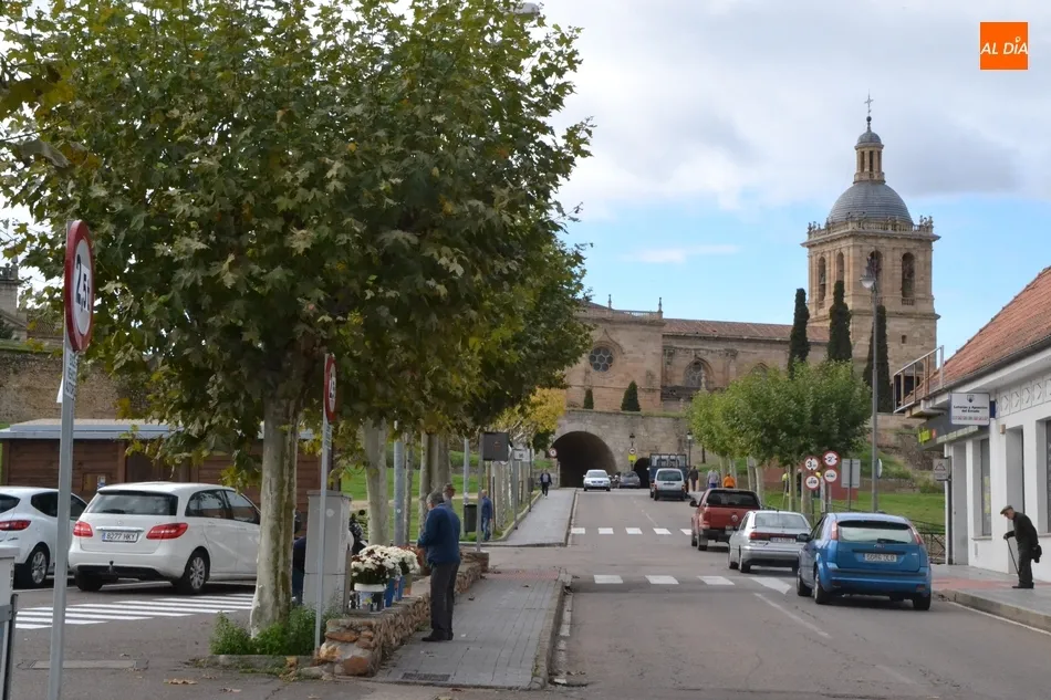 Foto 6 - El D&iacute;a de Todos los Santos saca las flores a las calles  