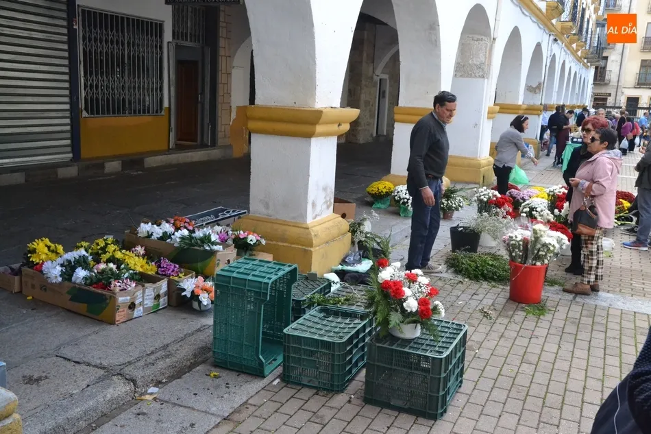 Foto 2 - El D&iacute;a de Todos los Santos saca las flores a las calles  
