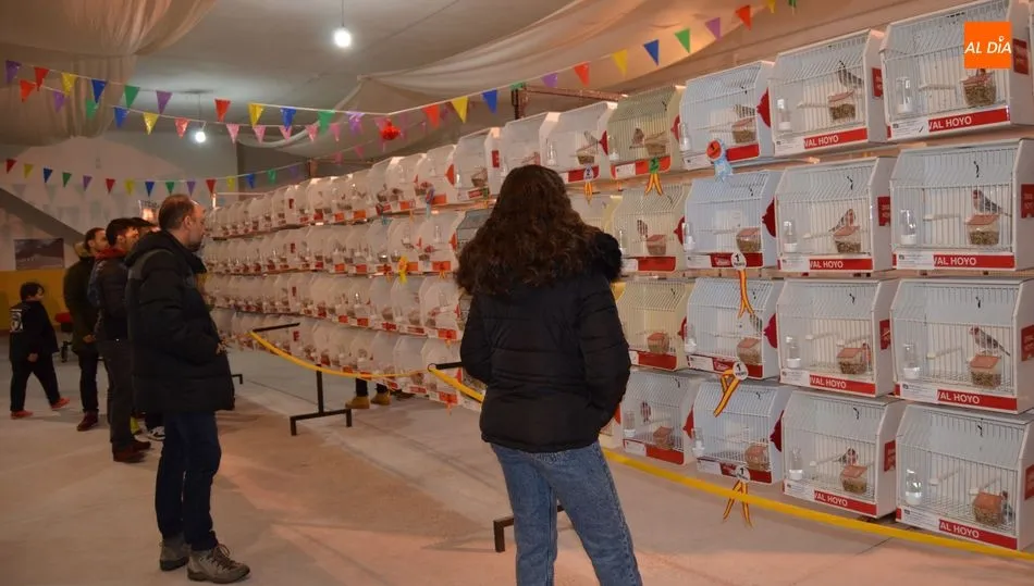 Exposición ornitológica en el Recinto Ferial de Béjar / FOTO DE ARCHIVO