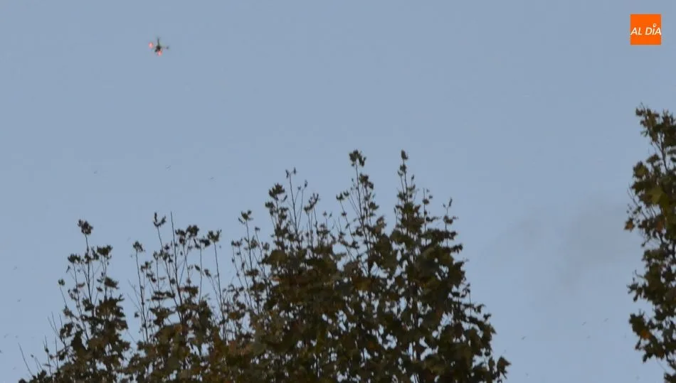 Drones contra los estorninos en el parque municipal de La Corredera