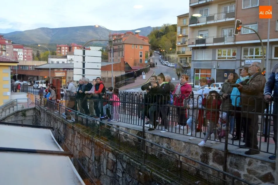 Foto 9 - El Ayuntamiento prueba con drones para espantar a los estorninos del parque municipal