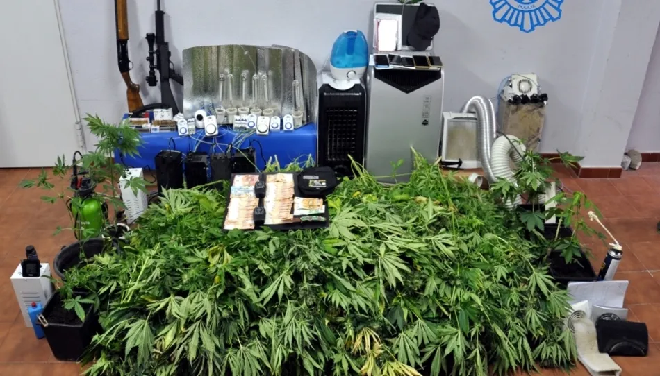 Material intervenido en esta operación