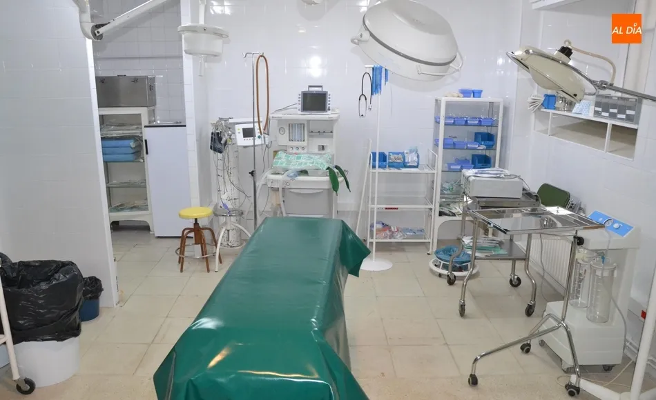 Así es el proceso de licitación de la prestación de los servicios médicos del Carnaval del Toro ...