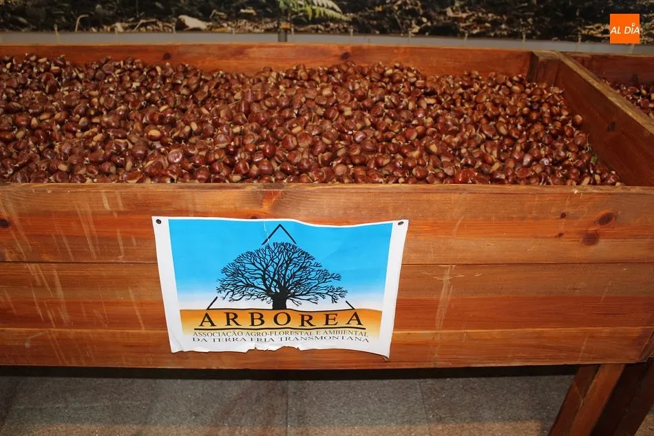 Foto 3 - Bragan&ccedil;a defiende, mediante la Feria Internacional del Norte, los ecosistemas ib&eacute;ricos de...