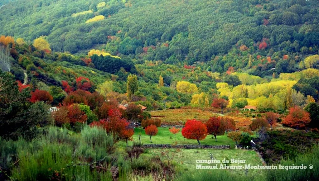 FOTOS MANUEL ÁLVAREZ-MONTESERÍN