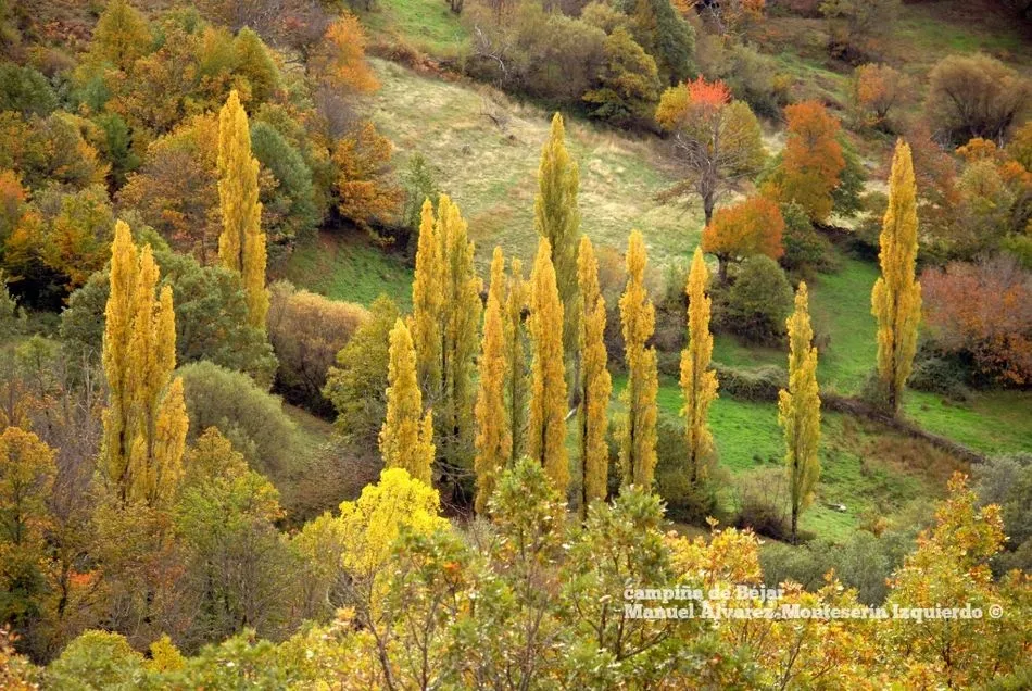 Foto 9 - El oto&ntilde;o despliega su paleta de colores en la campi&ntilde;a que rodea B&eacute;jar