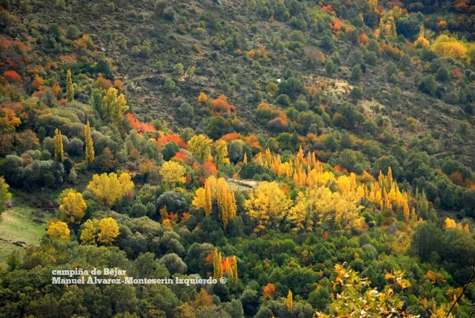 Foto 8 - El oto&ntilde;o despliega su paleta de colores en la campi&ntilde;a que rodea B&eacute;jar