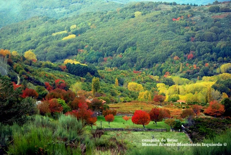 Foto 6 - El oto&ntilde;o despliega su paleta de colores en la campi&ntilde;a que rodea B&eacute;jar