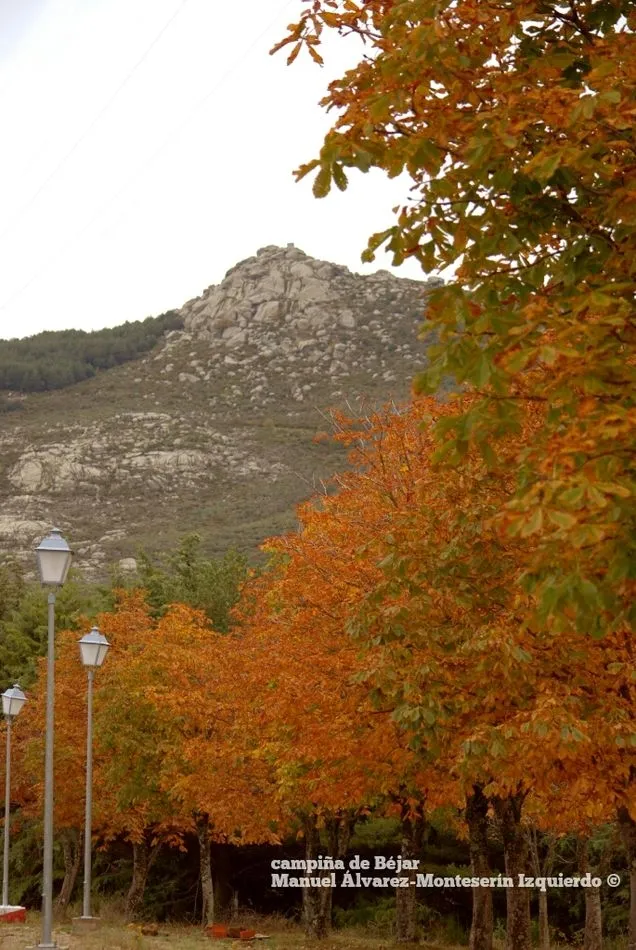 Foto 3 - El oto&ntilde;o despliega su paleta de colores en la campi&ntilde;a que rodea B&eacute;jar