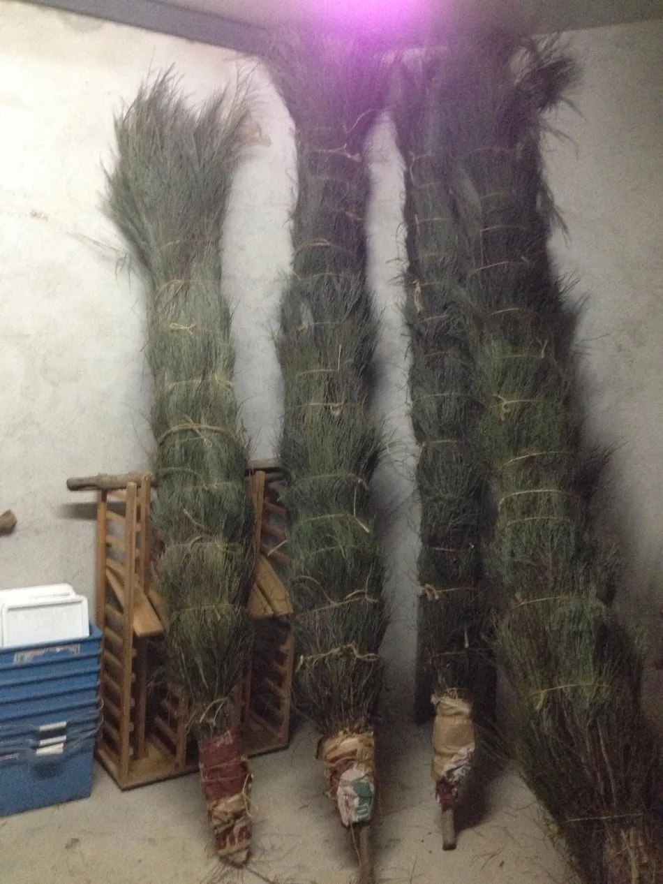 Foto 11 - Barquilla revive pese a la lluvia la tradici&oacute;n del &lsquo;D&iacute;a de los Ramos&rsquo;  