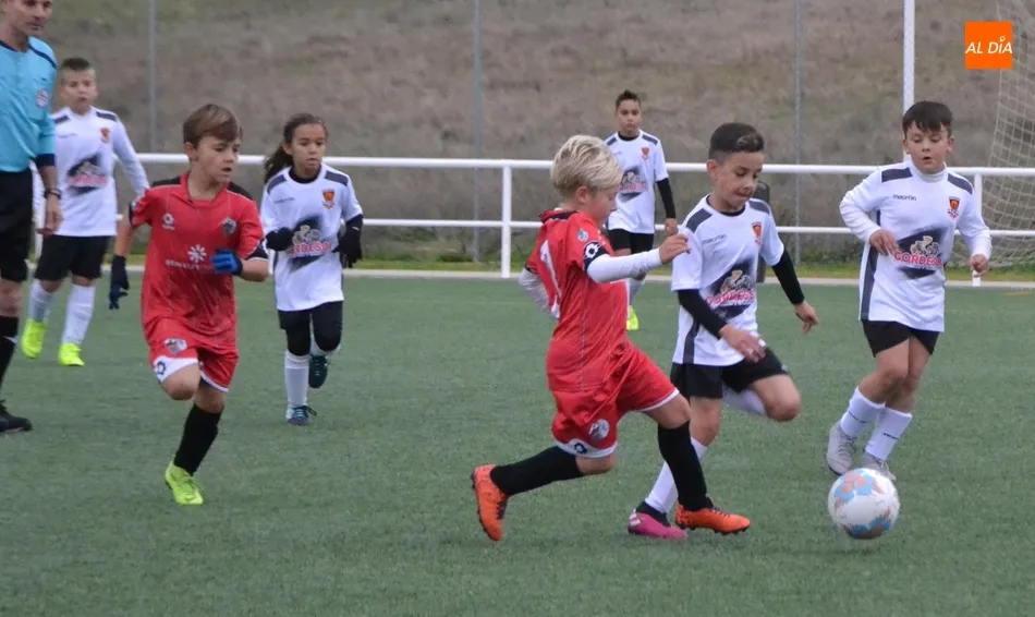 [Benjamín] Ciudad Rodrigo CF vs Salamanca CF UDS B