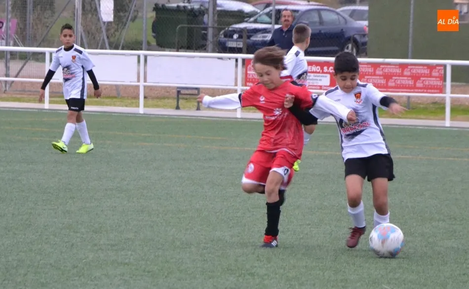 Foto 10 - #M [2|3 NOV] El Prebenjam&iacute;n del Ciudad Rodrigo se coloca l&iacute;der provisional de su categor&iacute;a  