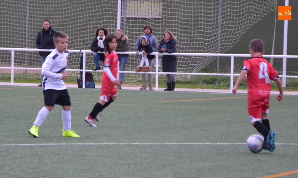 Foto 11 - #M [2|3 NOV] El Prebenjam&iacute;n del Ciudad Rodrigo se coloca l&iacute;der provisional de su categor&iacute;a  