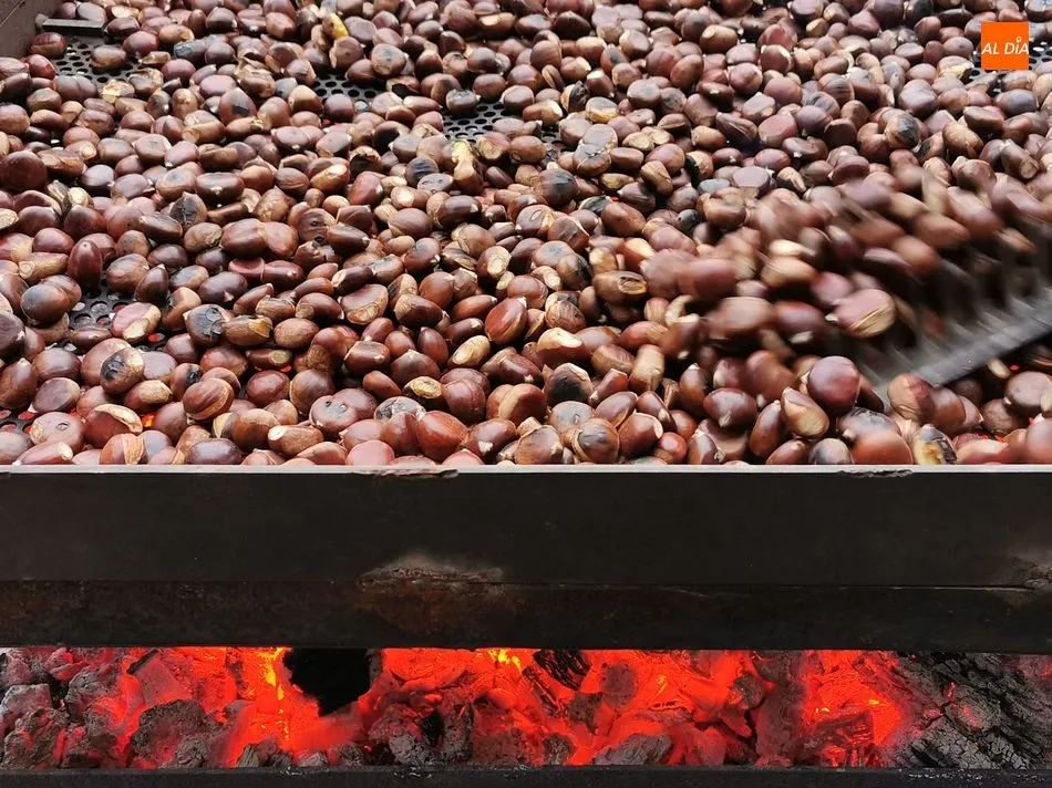 Foto 6 - Sotoserrano festeja la llegada del oto&ntilde;o con la tradicional calbochada