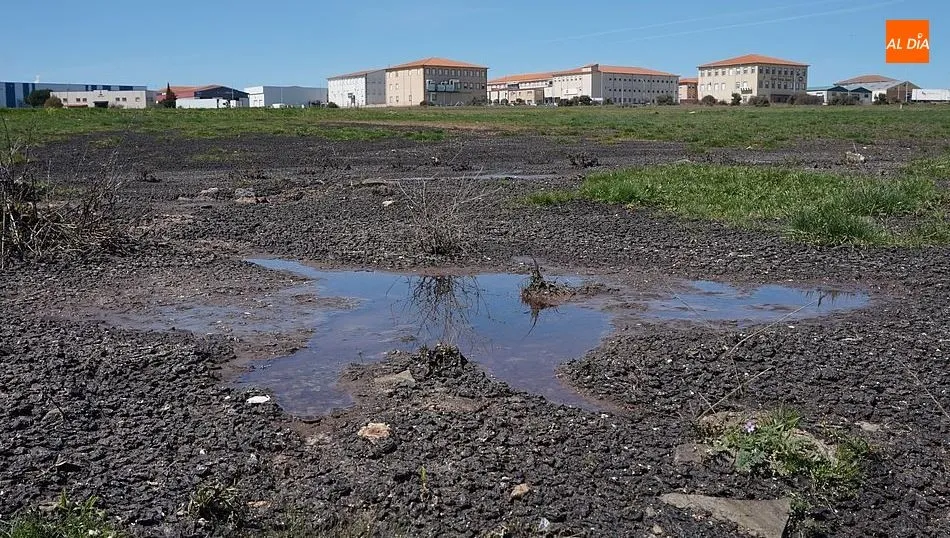 Vertido de purines cerca de Guijuelo. Foto de archivo