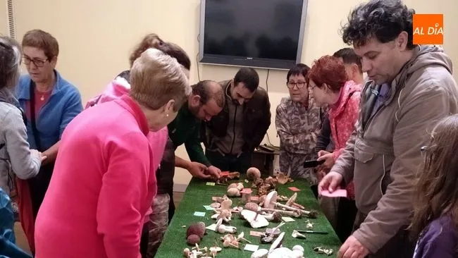 Foto 9 - El Torre&oacute;n de Sobradillo inicia noviembre con actividades de educaci&oacute;n mediambiental