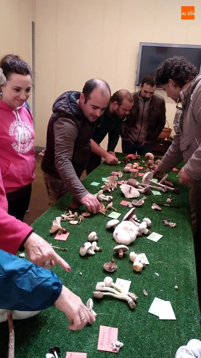 Foto 6 - El Torre&oacute;n de Sobradillo inicia noviembre con actividades de educaci&oacute;n mediambiental