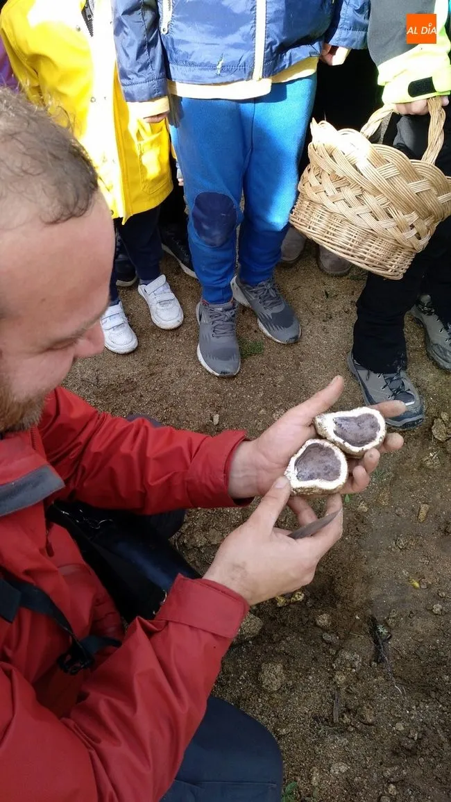 Foto 3 - El Torre&oacute;n de Sobradillo inicia noviembre con actividades de educaci&oacute;n mediambiental