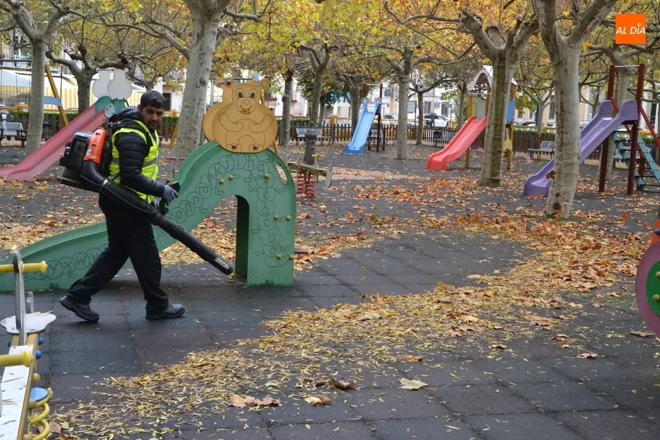 1Foto: La clásica batalla otoñal contra las hojas  