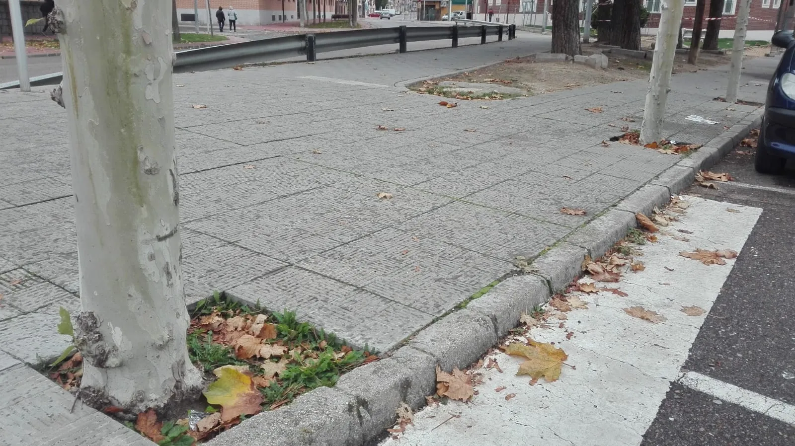Foto 5 - El PP exige que los trabajos en el parque junto a la residencia Sagrado Coraz&oacute;n &ldquo;tengan en...