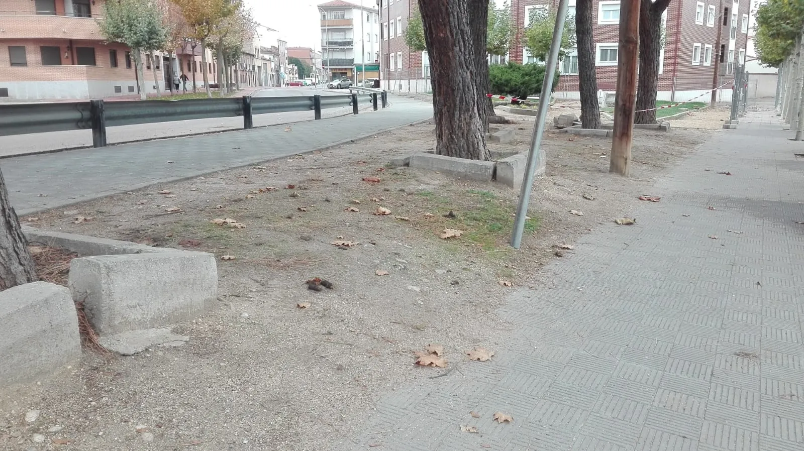 Foto 4 - El PP exige que los trabajos en el parque junto a la residencia Sagrado Coraz&oacute;n &ldquo;tengan en...