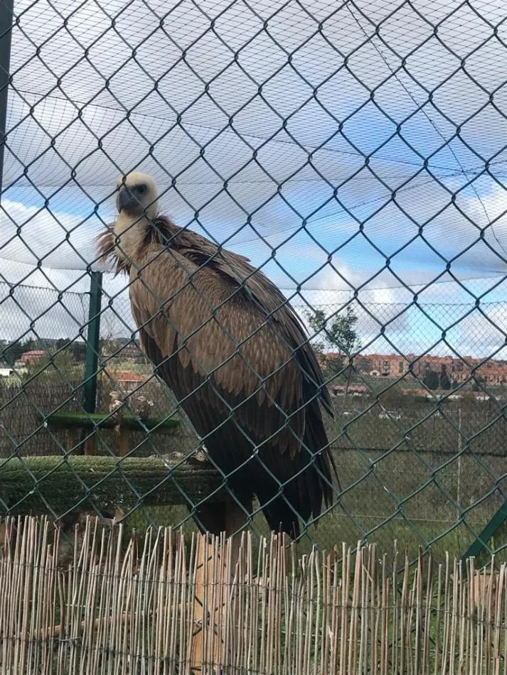 Foto 2 - Divertida visita al Centro Lorenzo Milani de escolares del colegio Antonio Machado