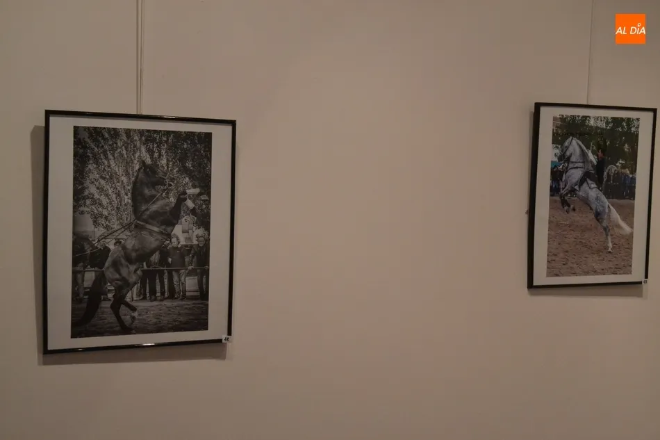 Una veintena de imágenes opta a la victoria en el XVII Concurso Fotográfico de la Feria del...