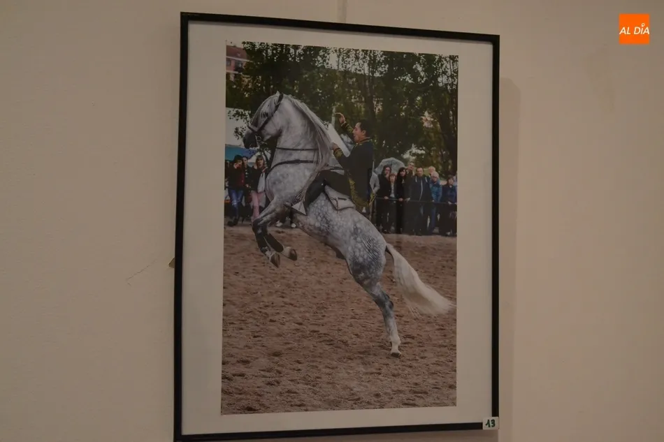 Foto 9 - Una veintena de im&aacute;genes opta a la victoria en el XVII Concurso Fotogr&aacute;fico de la Feria del...