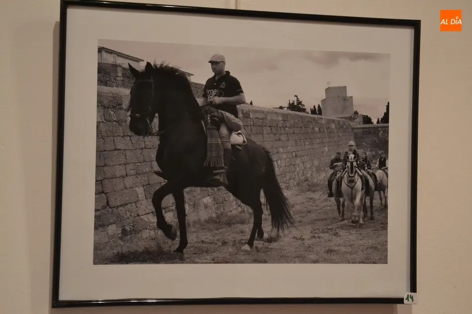 Foto 8 - Una veintena de im&aacute;genes opta a la victoria en el XVII Concurso Fotogr&aacute;fico de la Feria del...