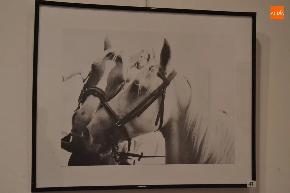 Foto 5 - Una veintena de im&aacute;genes opta a la victoria en el XVII Concurso Fotogr&aacute;fico de la Feria del...