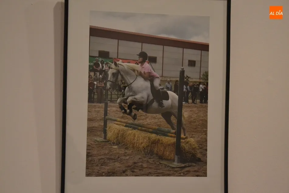 Foto 4 - Una veintena de im&aacute;genes opta a la victoria en el XVII Concurso Fotogr&aacute;fico de la Feria del...