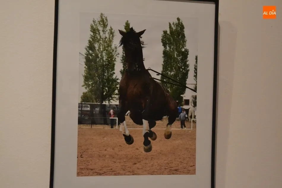 Foto 2 - Una veintena de im&aacute;genes opta a la victoria en el XVII Concurso Fotogr&aacute;fico de la Feria del...