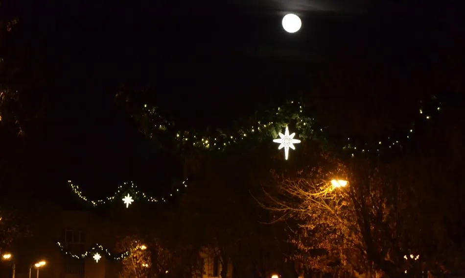 Los comerciantes de la calle El Rollo animan a colaborar con ellos para mejorar el alumbrado...