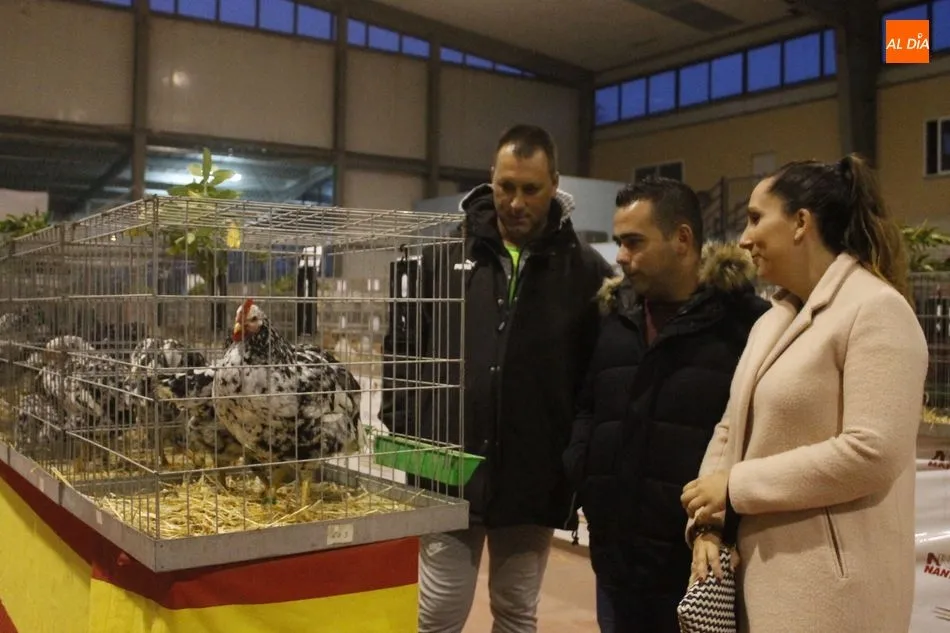 Foto 5 - Javier Iglesias visita el I Concurso-Exposici&oacute;n Internacional de Avicultura y Cunicultura de...