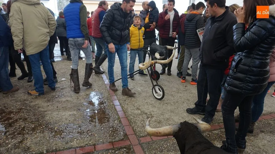 Foto 3 - Crist&oacute;bal refugia la matanza t&iacute;pica bajo techo