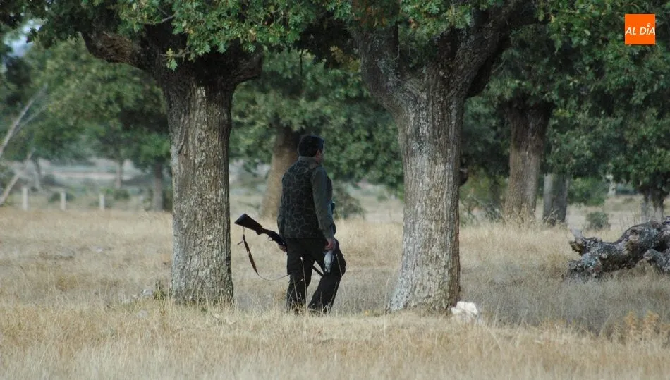 En Castilla y León son ya dos temporadas en las que el cupo de tórtolas por cazador y día es de 4 ejemplares