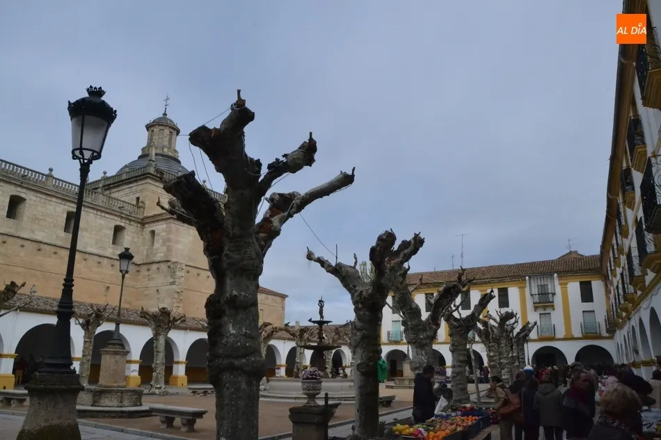 Foto 5 - 1Foto: La Plazuela del Buen Alcalde se viste de oto&ntilde;o... y casi de Navidad  
