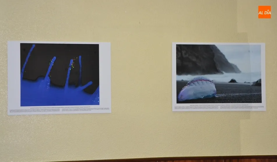 Foto 9 - Abierta la exposici&oacute;n fotogr&aacute;fica con la que debuta en Mir&oacute;briga la Semana de la Ciencia de la...
