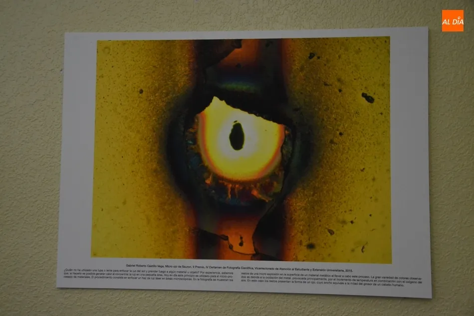 Foto 8 - Abierta la exposici&oacute;n fotogr&aacute;fica con la que debuta en Mir&oacute;briga la Semana de la Ciencia de la...