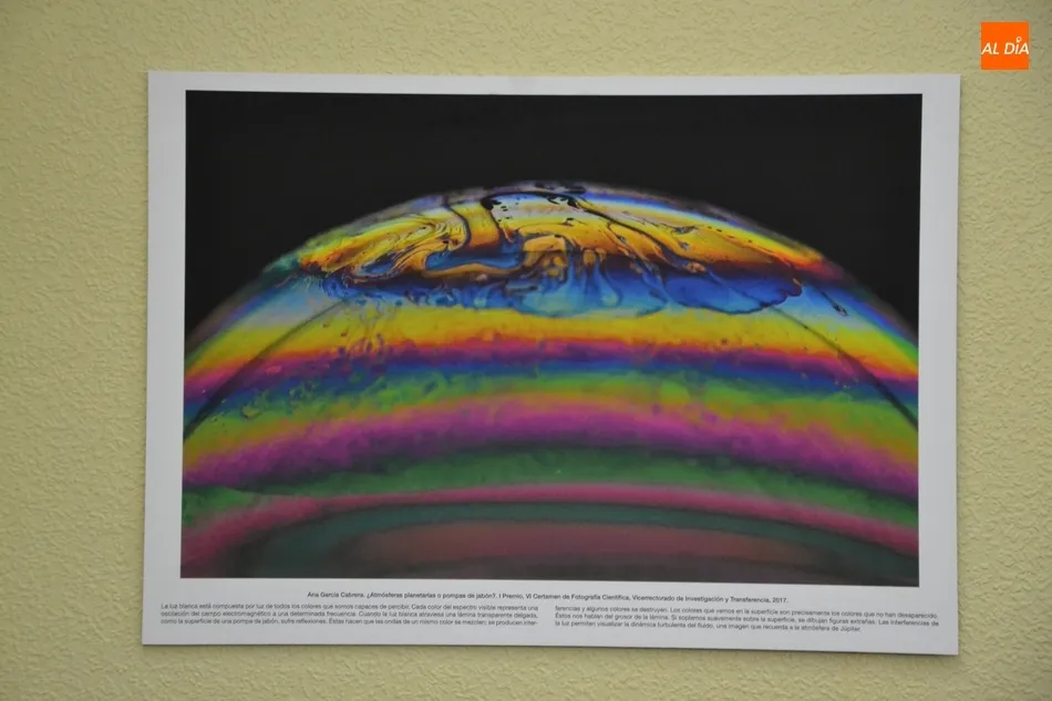 Foto 5 - Abierta la exposici&oacute;n fotogr&aacute;fica con la que debuta en Mir&oacute;briga la Semana de la Ciencia de la...