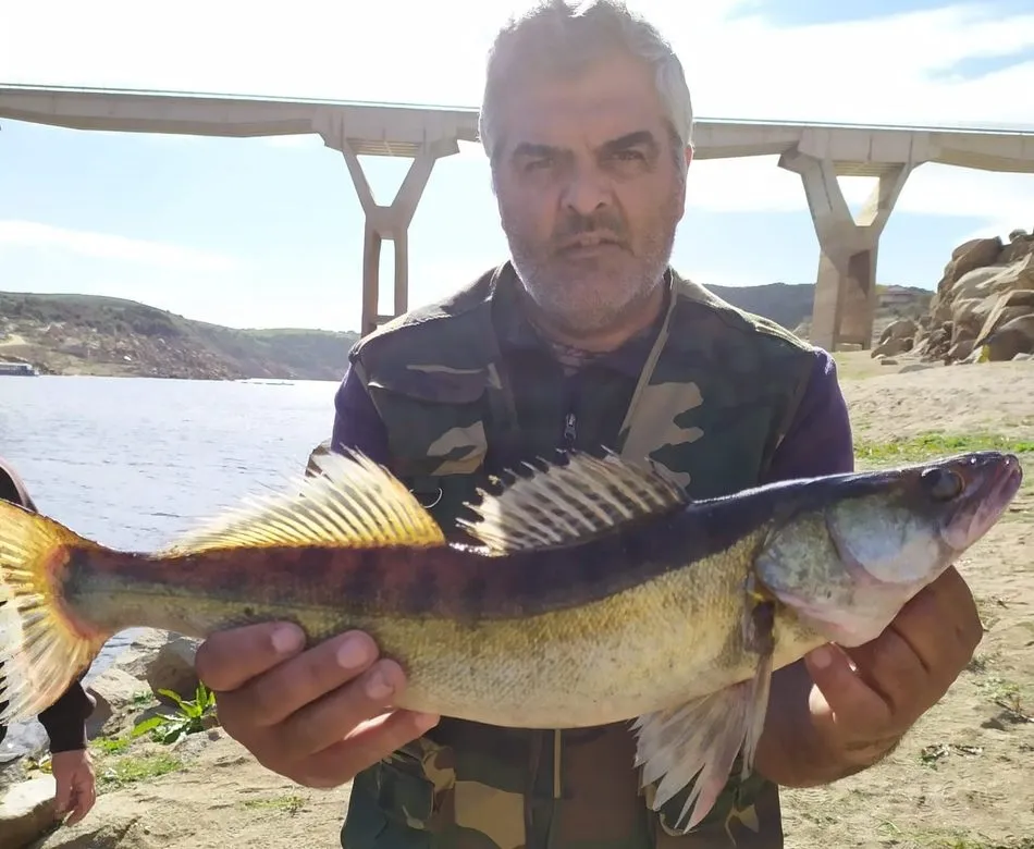 Foto 4 - Los integrantes de la pe&ntilde;a Santa Teresa, de Alba de Tormes, disfrutan de la pesca  