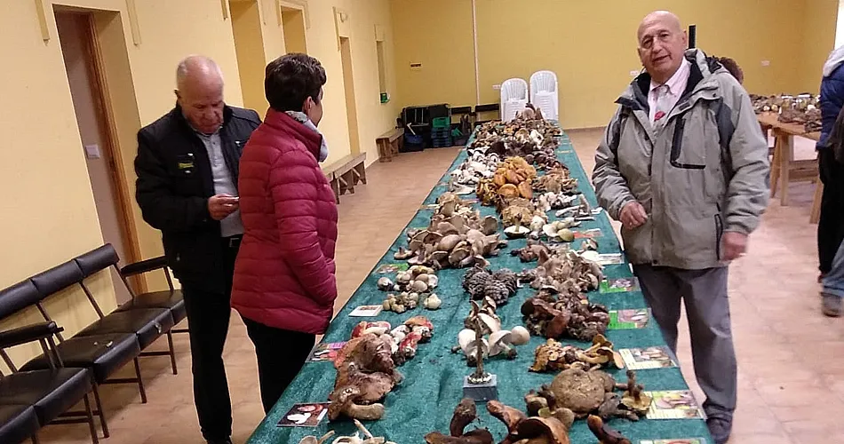 El martillense Ángel García muestra su recolecta micológica