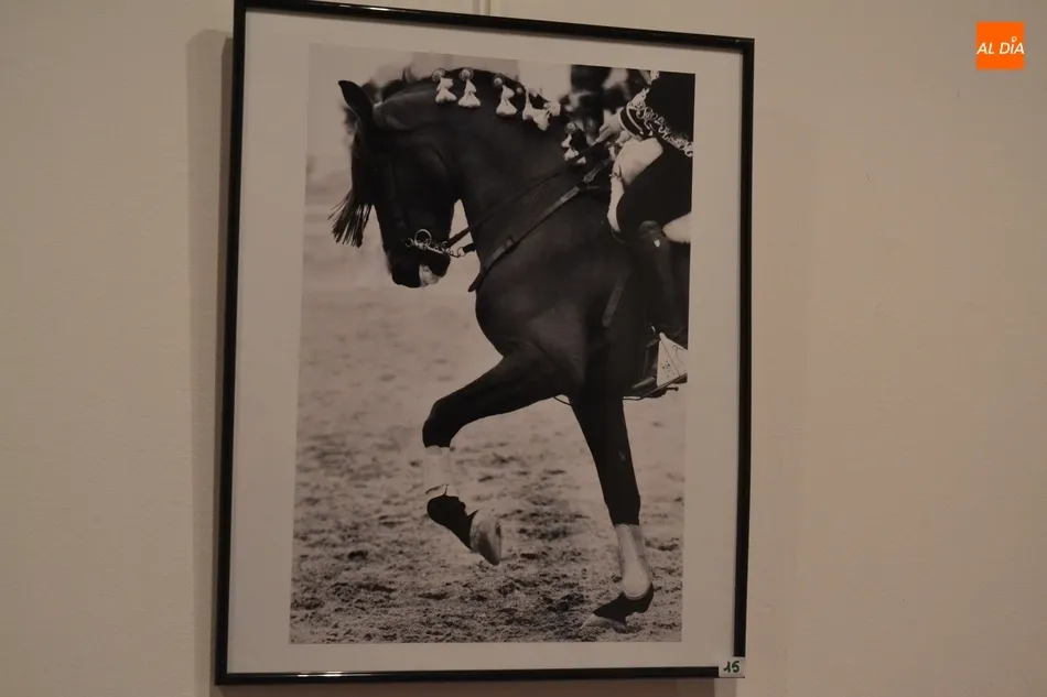 Foto 2 - Manuel Rico Cabrera gana el Concurso de Fotograf&iacute;a de la Feria del Caballo 2019  